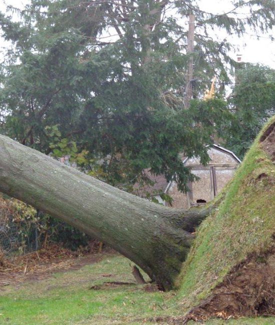 storm repair