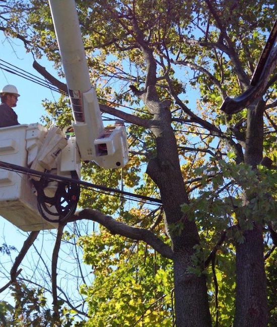 storm repair